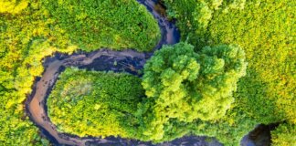 A stunning aerial view of a winding river surrounded by lush green forests in Minnesota.
