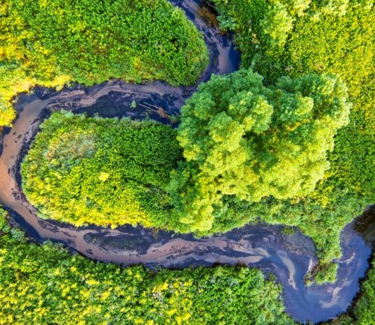 A stunning aerial view of a winding river surrounded by lush green forests in Minnesota.