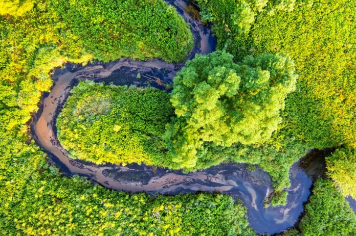 A stunning aerial view of a winding river surrounded by lush green forests in Minnesota. A stunning aerial view of a winding river surrounded by lush green forests in Minnesota.