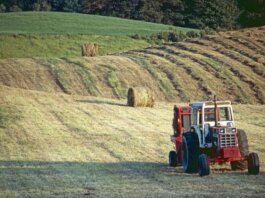 A tractor on a farm in Brant, Ontario, Canada, capturing rural life at sunset.