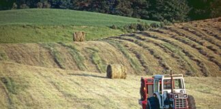 A tractor on a farm in Brant, Ontario, Canada, capturing rural life at sunset.
