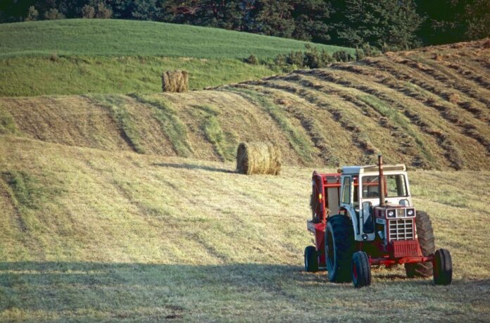 A tractor on a farm in Brant, Ontario, Canada, capturing rural life at sunset. A tractor on a farm in Brant, Ontario, Canada, capturing rural life at sunset.