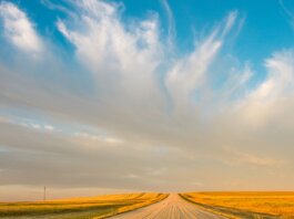 A vast prairie landscape in Saskatchewan with a rural road and dramatic clouds at sunset.