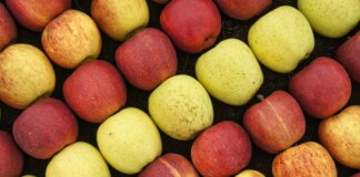A vibrant display of fresh red and yellow apples in rows captured from above, showcasing abundance.