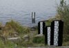 Уровень воды в Ред-Ривер упал ниже летней нормы из-за засухи A water level measurement post standing in a lake, surrounded by rocks and vegetation.