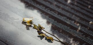 A white rose placed on a reflective memorial wall listing names, conveying remembrance.