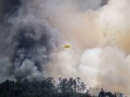 Aviation plane fights a massive forest fire, engulfed in thick smoke, showcasing emergency response.