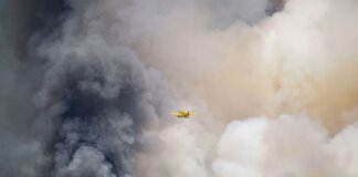 Aviation plane fights a massive forest fire, engulfed in thick smoke, showcasing emergency response.