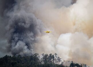 Оттава условно продала списанные самолёты Hercules для тушения лесных пожаров Aviation plane fights a massive forest fire, engulfed in thick smoke, showcasing emergency response.