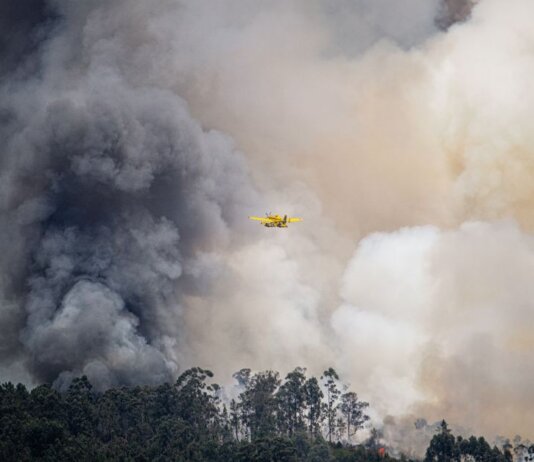 Aviation plane fights a massive forest fire, engulfed in thick smoke, showcasing emergency response.