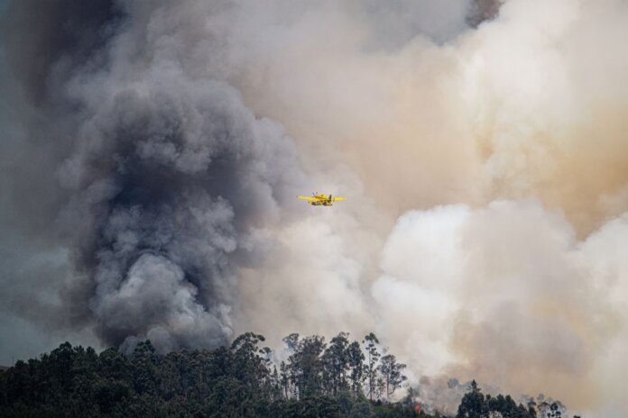 Aviation plane fights a massive forest fire, engulfed in thick smoke, showcasing emergency response.