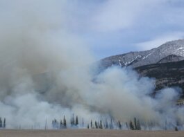 Capture of a forest fire with smoke rising against a mountain backdrop in a scenic natural landscape.