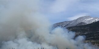 Capture of a forest fire with smoke rising against a mountain backdrop in a scenic natural landscape.