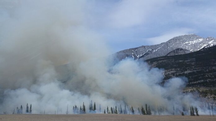 Capture of a forest fire with smoke rising against a mountain backdrop in a scenic natural landscape.
