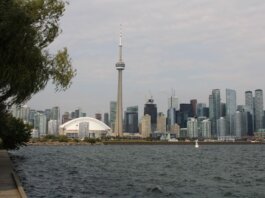 Capture of Toronto's iconic skyline featuring the CN Tower and waterfront on a calm day.