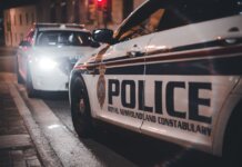 Close-up of Royal Newfoundland Constabulary police cars parked on a street at night.