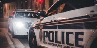 Close-up of Royal Newfoundland Constabulary police cars parked on a street at night.