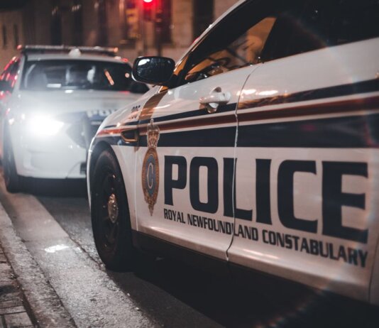 Close-up of Royal Newfoundland Constabulary police cars parked on a street at night.