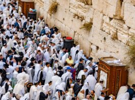 Crowds of people in prayer at the Western Wall, Jerusalem, during a religious event.