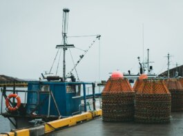 Docked fishing boats with stacked crab pots on a wet harbor under a gray sky.