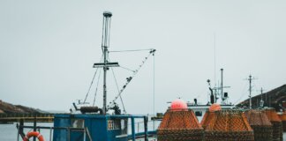 Docked fishing boats with stacked crab pots on a wet harbor under a gray sky.
