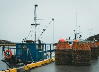 Docked fishing boats with stacked crab pots on a wet harbor under a gray sky.