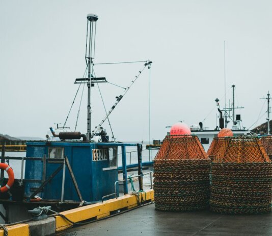 Docked fishing boats with stacked crab pots on a wet harbor under a gray sky.