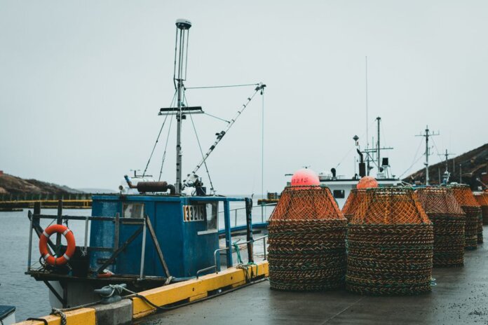 Docked fishing boats with stacked crab pots on a wet harbor under a gray sky. Docked fishing boats with stacked crab pots on a wet harbor under a gray sky.