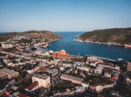 Elevated view of St. John's vibrant cityscape and picturesque harbor.
