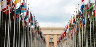 From below of various flags on flagpoles located in green park in front of entrance to the UN headquarters in Geneva