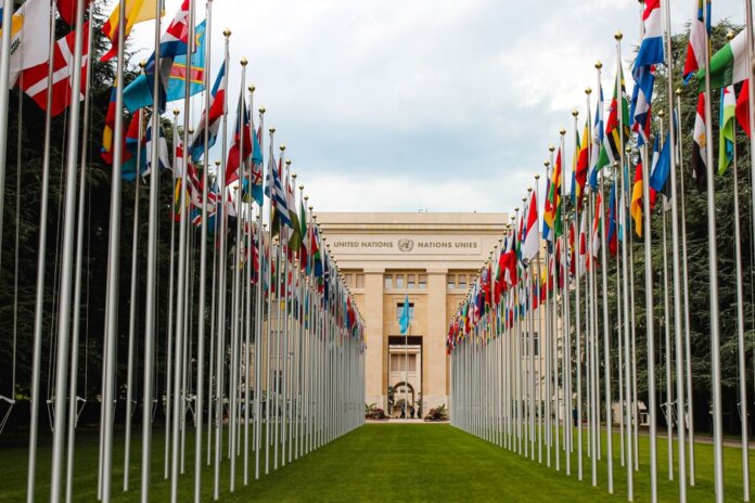 From below of various flags on flagpoles located in green park in front of entrance to the UN headquarters in Geneva From below of various flags on flagpoles located in green park in front of entrance to the UN headquarters in Geneva