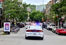 Полиция Гамильтона ищет свидетелей ночной стрельбы на Ориол-Крезент Police car driving through urban street lined with trees and parked bicycles.