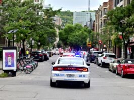 Police car driving through urban street lined with trees and parked bicycles.