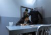 Преступность подрывает бизнес малых предприятий по всей Канаде Police officer escorting suspect as lawyer observes during interrogation.