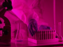 Scientist in a lab coat handling test tubes under pink lighting, using a microscope.