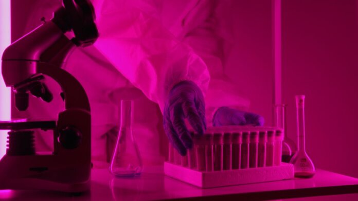 Scientist in a lab coat handling test tubes under pink lighting, using a microscope. Scientist in a lab coat handling test tubes under pink lighting, using a microscope.