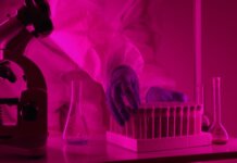 Правительство Канады объявит о финансировании исследований в области онкологии Scientist in a lab coat handling test tubes under pink lighting, using a microscope.