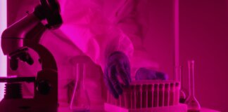 Scientist in a lab coat handling test tubes under pink lighting, using a microscope.