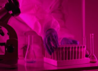 Scientist in a lab coat handling test tubes under pink lighting, using a microscope.