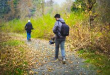 Two photographers walking down a leaf-covered forest path capturing nature's beauty.