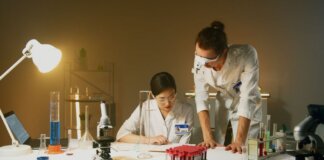 Two scientists working in a laboratory conducting experiments with various equipment and samples.