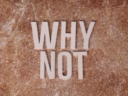 Wooden letters spelling 'WHY NOT' on a textured stone surface background.