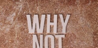 Wooden letters spelling 'WHY NOT' on a textured stone surface background.