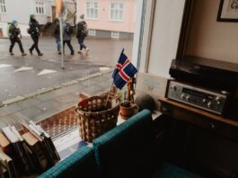 A cozy corner in a Reykjavik café featuring Icelandic decor and a view of the city street.