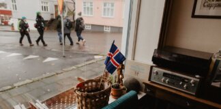 A cozy corner in a Reykjavik café featuring Icelandic decor and a view of the city street.