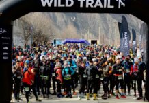 A large group of runners prepares for an exciting outdoor marathon race under a Wild Trail arch.