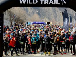 A large group of runners prepares for an exciting outdoor marathon race under a Wild Trail arch.