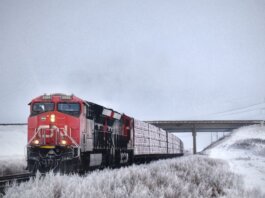 A striking red freight train travels through snowy Grasswood, Saskatchewan, on a winter day.