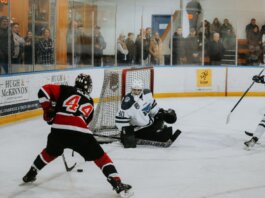 A thrilling hockey game captured indoors with players in action and spectators watching keenly.