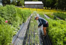 A woman performs farming tasks amidst lush plants and colorful flowers on a bright day.